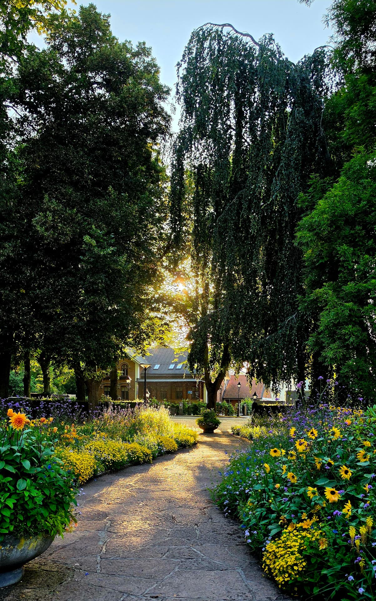 Parkmiljö med blomsterprakt och gångstig